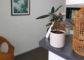 Little Coogee Hotel 2