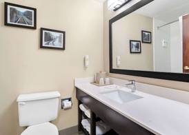 Comfort Suites near Robins Air Force Base 2
