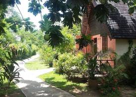 Firefly Beach Cottages and Suites 2