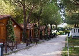 Green Village Assisi 3