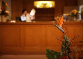 Hotel Lessing 2