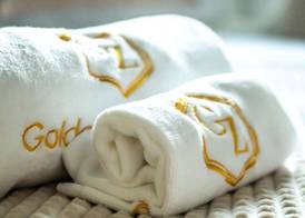 Golden Zaan Hotel, Zaandam-Amsterdam 5