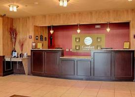 Comfort Inn & Suites Near Lake Lewisville 4