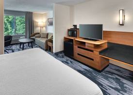 Fairfield Inn & Suites by Marriott Frankenmuth 4