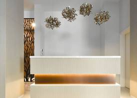 Hayashi Residence 4
