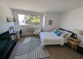 Fenix Hotel Hollywood 5