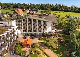 Schwanen 3