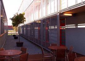 Orange Wings Krems 4