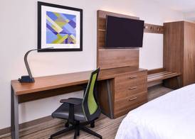 Holiday Inn Express & Suites TAMPA-ANDERSON RD/VETERANS EXP by IHG 4