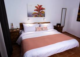 Geko Hotels 3