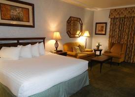 University Square Hotel 4