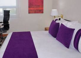 Hotel Lois Express Monterrey Aeropuerto La Fe 5
