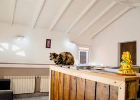Hosteria Patagonia 3