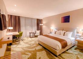 Holiday Inn ULAANBAATAR by IHG 5