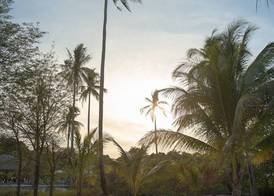 Tamu Koh Rong 3