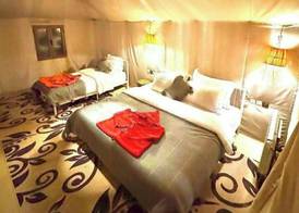 Desert Luxury Camp 2