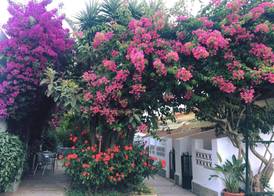 Hotel Antonio Conil 2