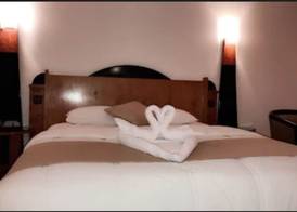Hotel Jacaranda 5