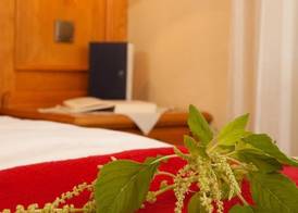 Landhotel Bayerwald 4