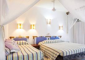 Turtle Bay Beach Club- All Inclusive 5