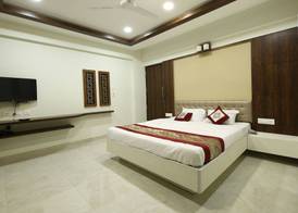 Areca Palms 4