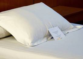 AP Hotel Madrid Airport 4