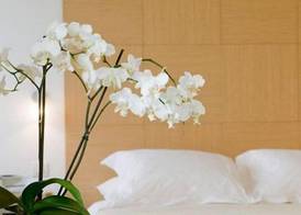 Hotel Alzinn 5