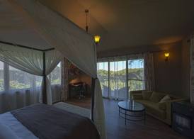Ngorongoro Lion's Paw 5