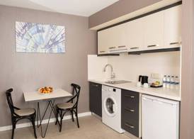 Elm Suite Hotel 3