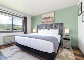 MTN Lodge Ridgway 5