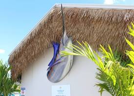 Latitude 26 Waterfront Resort and Marina 5