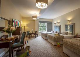 Falls Hotel & Spa 4
