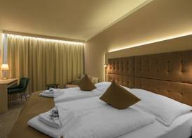 Wellness Hotel Astra 4