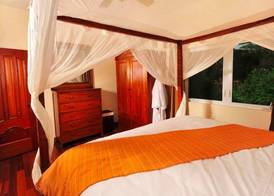 Sea Shore Allure 5