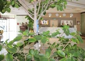 Dubai Grand Hotel by Fortune, Dubai Airport 5