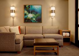 Hyatt Place Atlanta Downtown 3