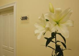 Kosmopolita Rooms 2