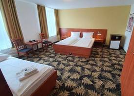 Hotel Der Tannenbaum 5
