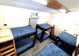 Big Paul Hostel 5