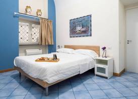 Ficus Home 3
