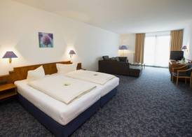Alpina Lodge Hotel Oberwiesenthal 5