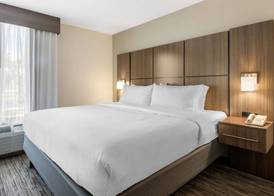 Holiday Inn MELBOURNE-VIERA CONFERENCE CTR by IHG 3