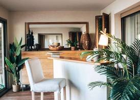 Cannes Villa St Barth 2