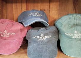 Aspen Mountain Lodge 5