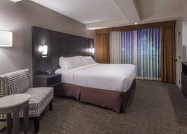Holiday Inn & Suites PHOENIX AIRPORT NORTH by IHG 5