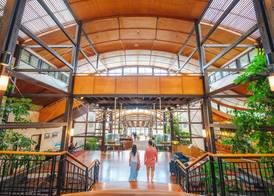 Kingfisher Bay Resort 3