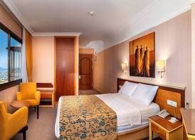 Palm Hotel 4