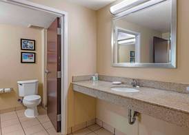 Comfort Inn & Suites Tavares North 4
