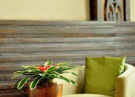 The Cocoon Boutique Hotel 3