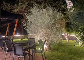 Lago Hotel & Spa - Adult Recommended 2